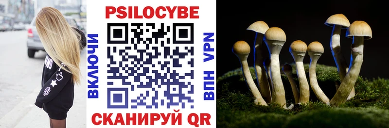 Псилоцибиновые грибы Psilocybine cubensis  mega   Пенза 