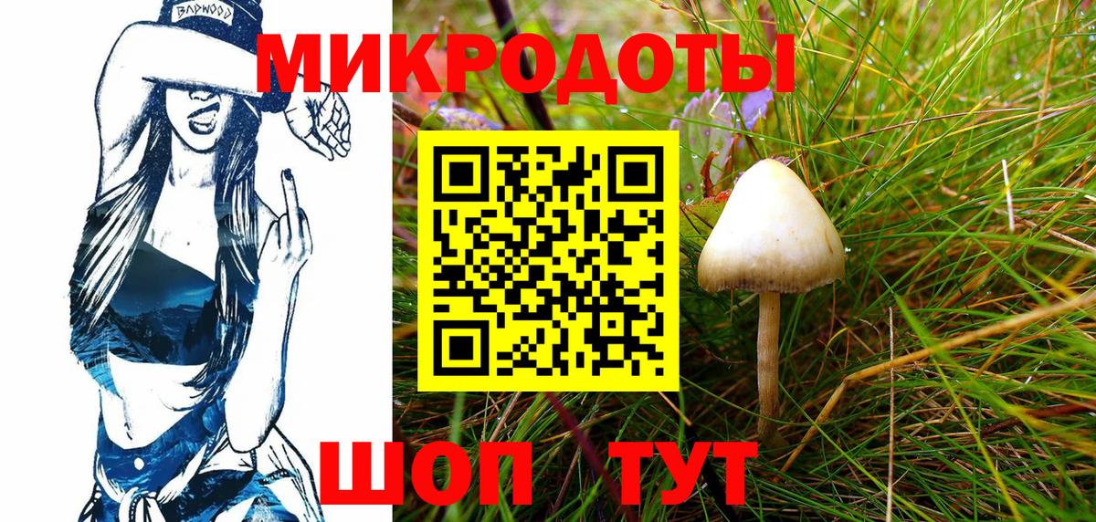 Галлюциногенные грибы прущие грибы Пенза