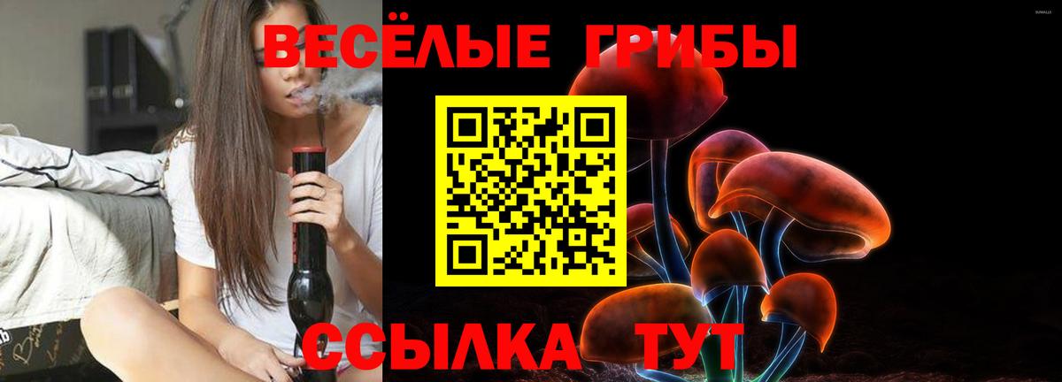 Псилоцибиновые грибы Cubensis  Вход с VPN  Псилоцибиновые грибы GOLDEN TEACHER  Пенза 